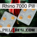 Rhino 7000 Pill 25